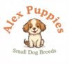 Alex Puppies Small Dog Breeds